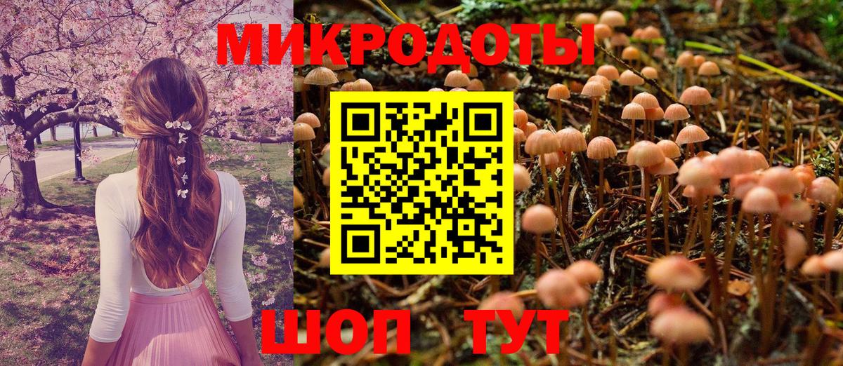 Галлюциногенные грибы мухоморы Десногорск