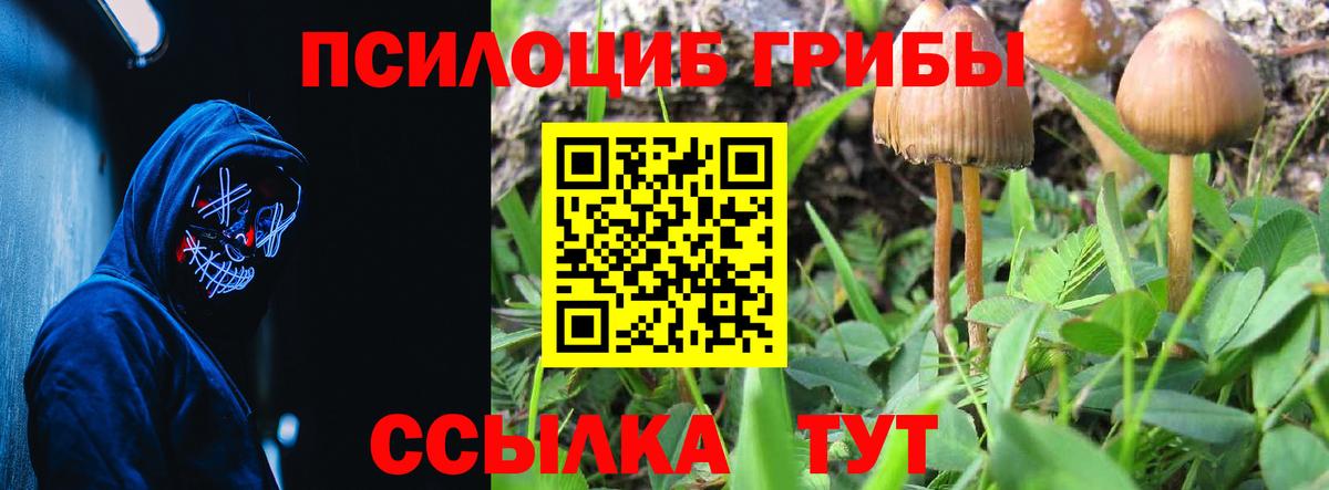 Псилоцибиновые грибы Psilocybe  Вход с VPN  Десногорск  Галлюциногенные грибы Psilocybine cubensis 